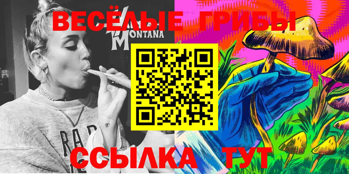 Владивосток  Псилоцибиновые грибы Magic Shrooms  Вход с VPN 