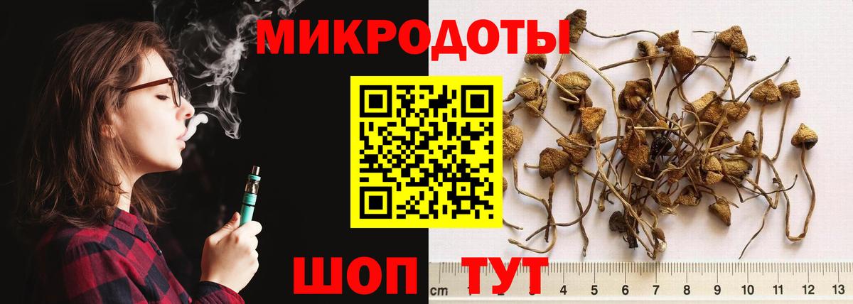 Псилоцибиновые грибы Magic Shrooms Владивосток